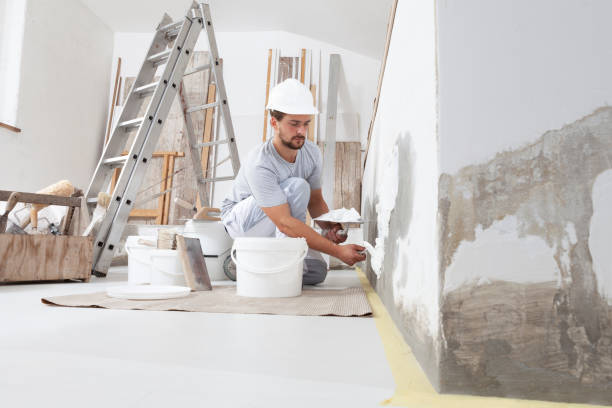 Best Post-Construction Mold Inspection  in Grand Haven, MI