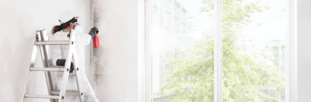 Best Biohazard Mold Removal  in Grand Haven, MI